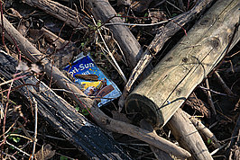 Bernhard Saalfeld - DSC01536 -1